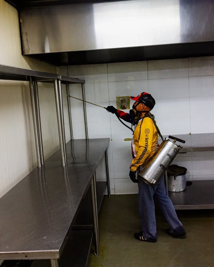Cocina limpia